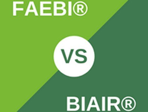 Choosing the Right Air Spring: FAEBI® vs. BiAir®